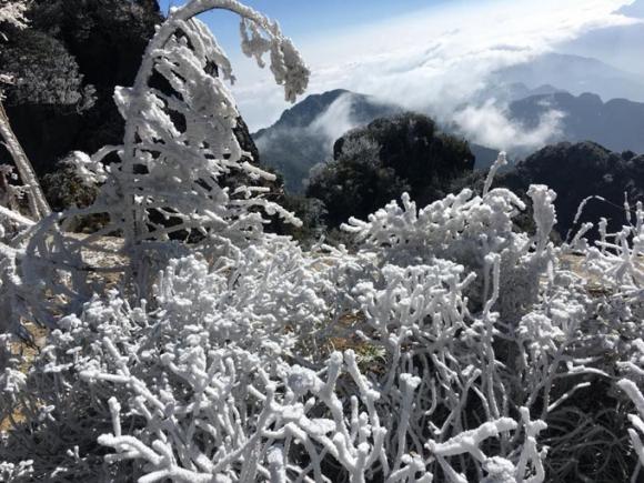 42 8 Bang Gia Phu Trang Dinh Fansipan Sang Mung 3 Tet