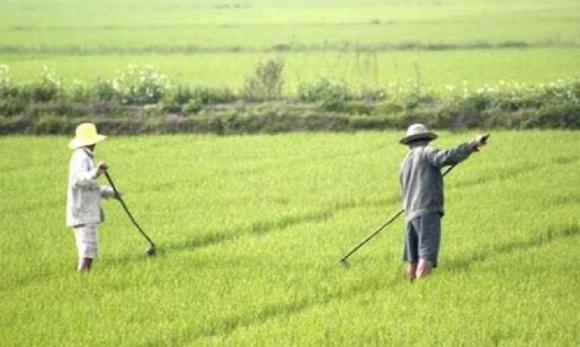 42 7 Lang Thuong Vo   Ngoi Lang Doc Dao Co 1 0 2 Tai Viet Nam Phu Nu Chi Viec Sinh Con Dong Ang Bep Nuc Giat Giu Dan Ong Lo Het