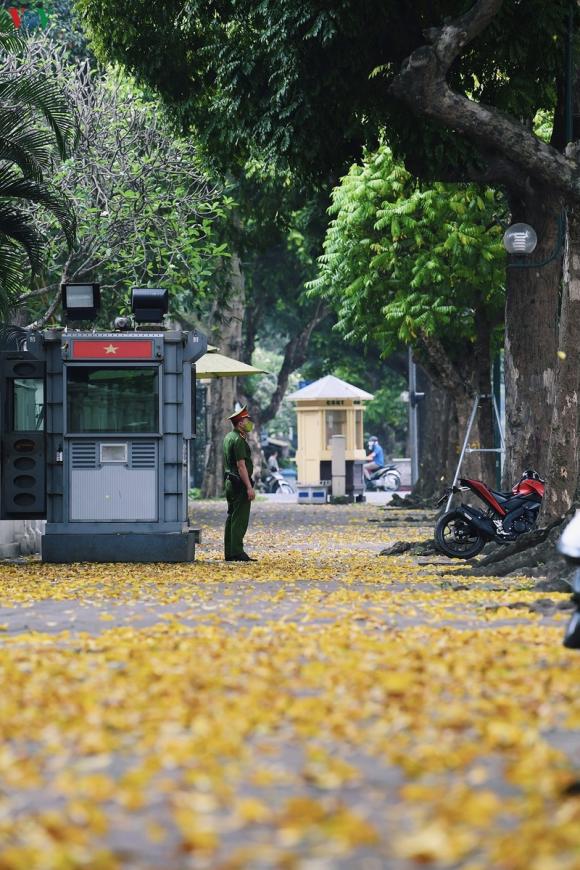 42 2 Pho Phuong Ha Noi Dep Nao Long Mua Sau Trut La Vang