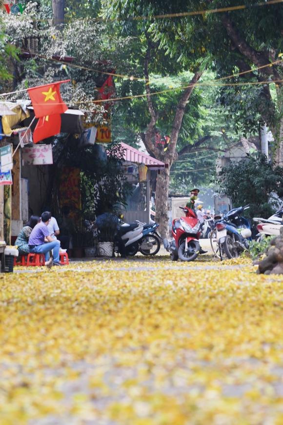 42 7 Pho Phuong Ha Noi Dep Nao Long Mua Sau Trut La Vang