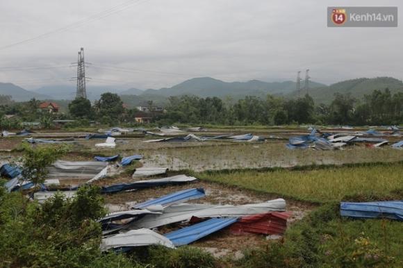 42 7 Nhan Chung Bang Hoang Ke Lai Khoanh Khac Loc Xoay Ap Den Lam 21 Nguoi Thuong Vong Moi Nguoi Chui Vao Dong Rac De Len Nhau Ve Den Nha Toi Moi Biet Minh Con Song