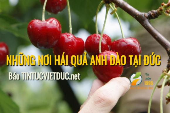 42 1 Nhung Dia Diem Hai Qua Anh Dao Tai Duc