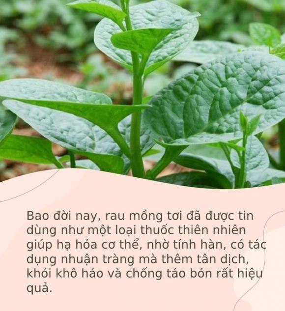 42 2 Mong Toi La Loai Rau Vua Cua Mua He Nhung 5 Nhom Nguoi Nay Du Them Cung Dung An