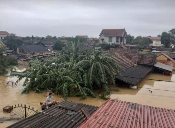 42 7 Quang Binh Benh Vien Chim Trong Bien Nuoc San Phu Phai Chuyen Len Khoa Hoi Suc Tranh Lu Benh Nhan Va Bac Si Chia Nhau Phan Thuc An It Oi