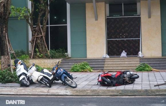 42 8 Duong Pho Da Nang Ngon Ngang Cay Xanh Nga Do La Liet Sau Bao