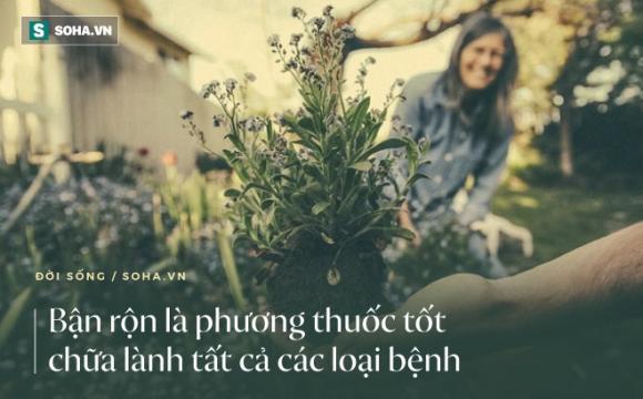 42 4 1 Viec Giup Cuoc Song Cua Con Nguoi Tu Khac Vui Ve Benh Tat Cung Co The Duoc Chua Lanh Ban Co Biet Do La Viec Gi