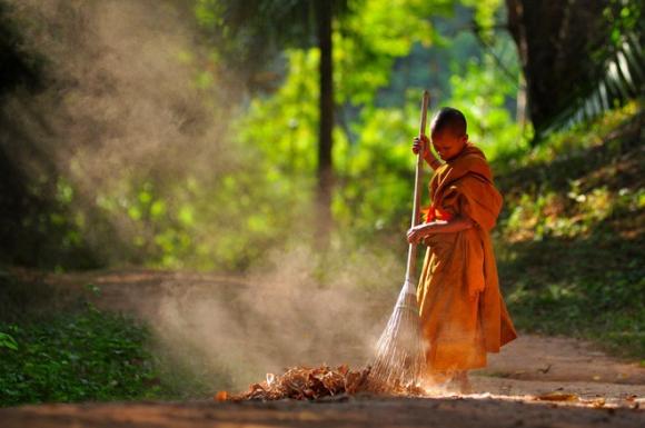 42 1 Chi Vao 1 Cai Cay Va Hoi Vai Cau Vi Su Phu Day Cho De Tu Bai Hoc Nho Doi Ve Thoi Khoe Khoang