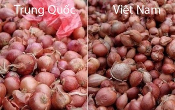 42 8 Chu Hang Rau Chi Cach Phan Biet Rau Cu Trung Quoc Voi Viet Nam Nhin Vo Du Biet Luon Dung De Bi Lua