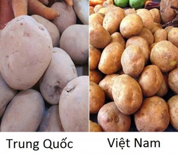 42 9 Chu Hang Rau Chi Cach Phan Biet Rau Cu Trung Quoc Voi Viet Nam Nhin Vo Du Biet Luon Dung De Bi Lua