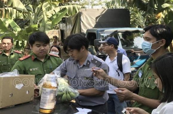 42 2 Phat Hien Hon 20 Ngan Kg Chuoi Ngam Nuoc Phun Thuoc Bao Quan Khong Ro Nguon Goc Truoc Khi Dua Di Tieu Thu Dip Tet