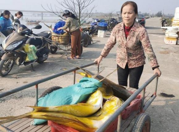 42 2 Ngu Dan Ha Tinh Trung Dam Loc Bien Thu Ve Hon 600 Trieu Dong