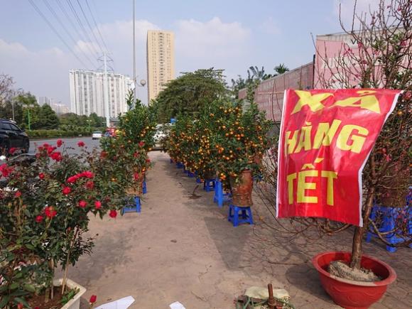 42 1 24 Tet Nguoi Ban Hoa Tai Ha Noi Xa Hang Giam Gia Chi Mong Hue Von