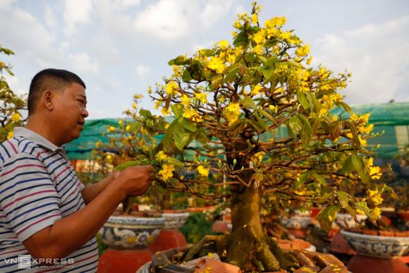 42 2 Khac Biet Thu Choi Cay Canh Tet Giua Ha Noi Va Sai Gon