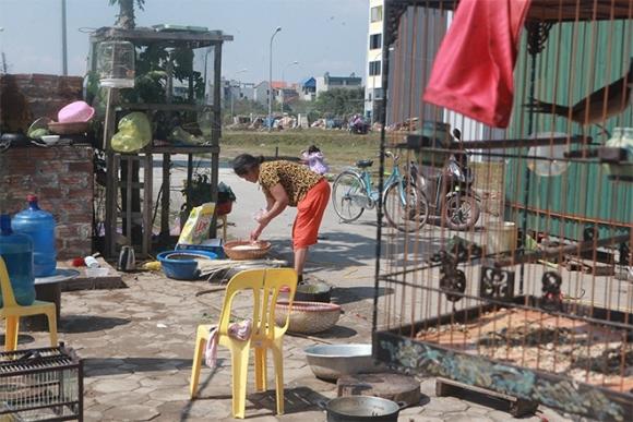 42 2 Gia Dinh 14 Con O Ha Noi Tet Doi Kho Hon Vi Bien Co Lon