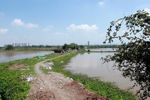 42 8 Gia Dinh 14 Con O Ha Noi Tet Doi Kho Hon Vi Bien Co Lon