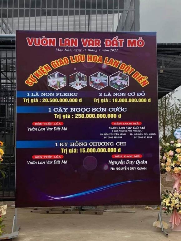 42 2 Nghi Van Quanh Vu Mua Ban Lan Var Ngoc Son Cuoc 250 Ty O Quang Ninh