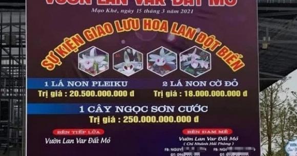 42 1 Vu Mua Ban Lan Dot Bien Gan 300 Ty Chi Thoa Thuan Chua Chuyen Tien