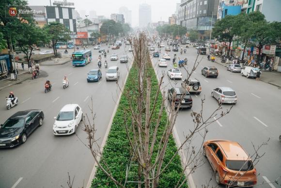 42 1 Hang Phong La Do O Ha Noi Tu Ky Vong Chau Au Giua Long Thu Do Den Nhung Canh Cui Kho Sap Bi Thay The