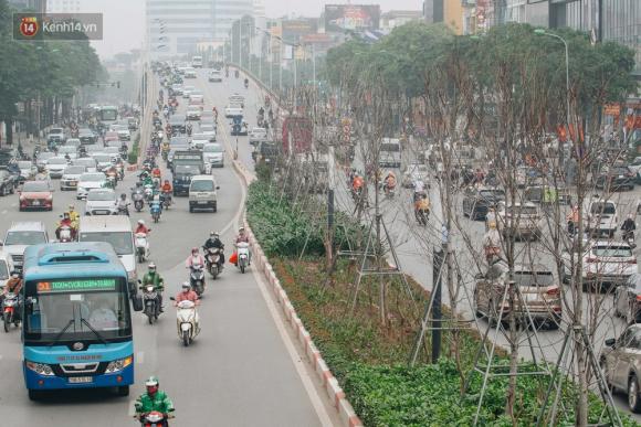 42 2 Hang Phong La Do O Ha Noi Tu Ky Vong Chau Au Giua Long Thu Do Den Nhung Canh Cui Kho Sap Bi Thay The