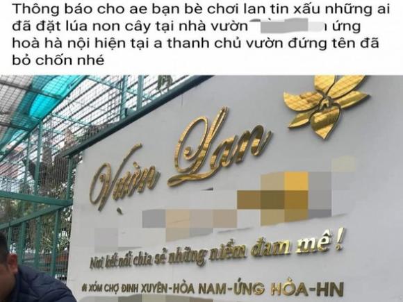 42 1 Chu Vuon Lan Dot Bien Om 11 Ti Cua Khach Mua Lan Xong Dot Bien