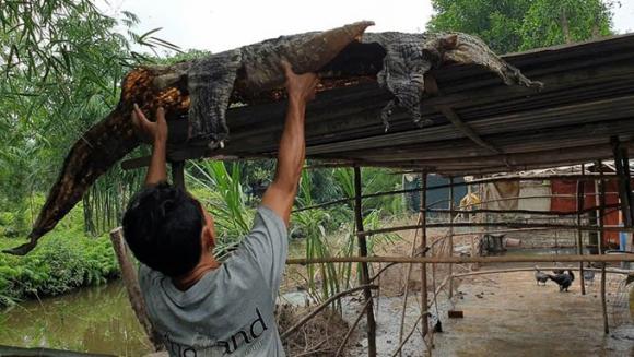 42 7 Binh Chanh Dan Bat Duoc Hang Ta Ca Sau O Ngoai Tu Nhien