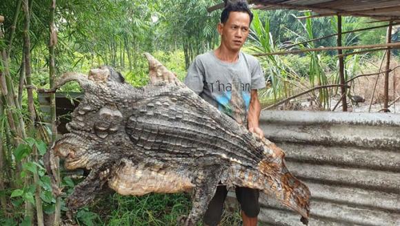 42 8 Binh Chanh Dan Bat Duoc Hang Ta Ca Sau O Ngoai Tu Nhien