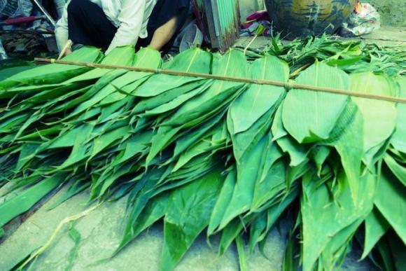 42 1 La Rung Bo Rao Bo Di Khong Ai Dung Sang Nuoc Ngoai Ban Dat Do