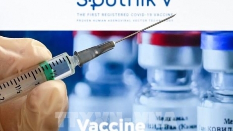 1 Duc Tin Tuong Hieu Qua Cua Vaccine Sputnik V Keu Goi Hop Tac Voi Nga