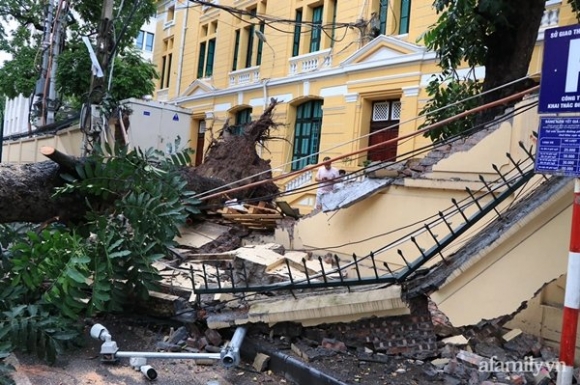 1 Ha Noi Cay Co Thu Hang Chuc Nam Tuoi Bat Ngo Bat Goc Sau Tran Gio Lon De Sap Tuong Toa An Nhan Dan Toi Cao