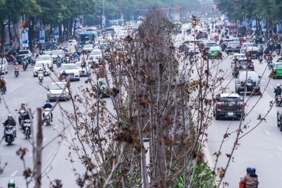 1 Phong La Do Chet Quay   Khong Khac Gi Trong Cay Cot Dien