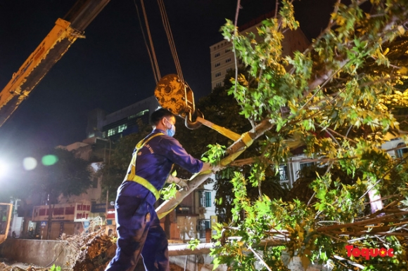 11 Di Doi Hang Cay Phong La Do O Ha Noi Ngay Trong Dem