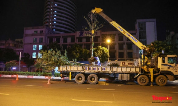 3 Di Doi Hang Cay Phong La Do O Ha Noi Ngay Trong Dem