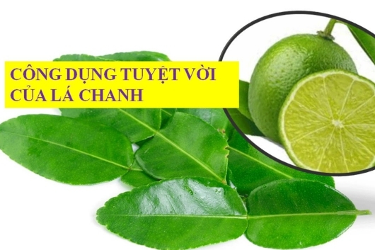 1 7 Tac Dung Tuyet Voi Cua La Chanh Voi Suc Khoe