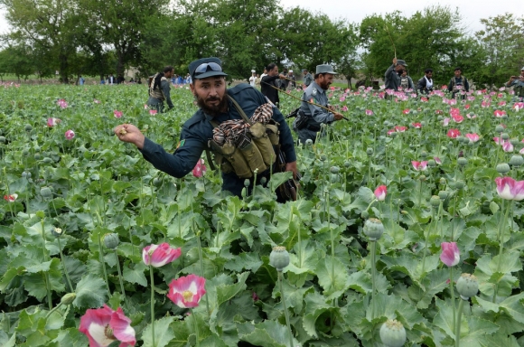 2 Taliban Da Kiem Tien Nhu The Nao De Phuc Vu Cuoc Chien O Afghanistan