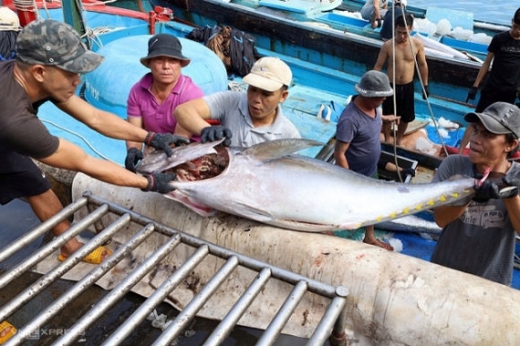 1 Viet Nam Vuot Thai Lan Thanh Nguon Cung Ca Ngu Lon Nhat Israel
