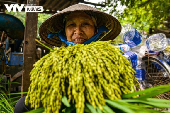 4 Bep Lang Nhon Nhip Vi Dac San Mua Thu Ha Noi