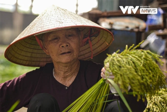 6 Bep Lang Nhon Nhip Vi Dac San Mua Thu Ha Noi