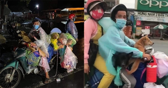 1 Ca Mau Dia Phuong Xac Nhan Da Tieu Huy Dan Cho Cua Gia Dinh Cho Xe May Ve Que