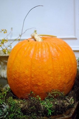 2 Nguoi Ha Noi San Bi Ngo Sieu Khong Lo Gia Chuc Trieu Choi Halloween