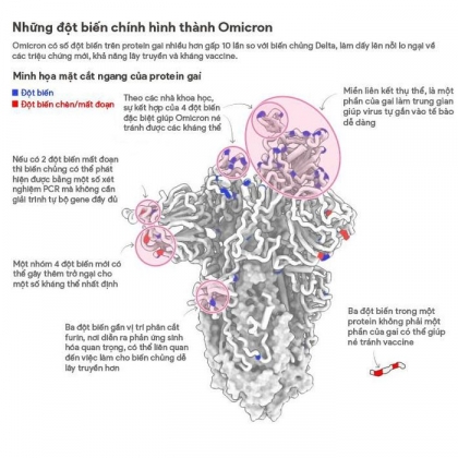 2 Hieu Qua Cua Mui Vaccine Thu 3 Voi Bien Chung Omicron