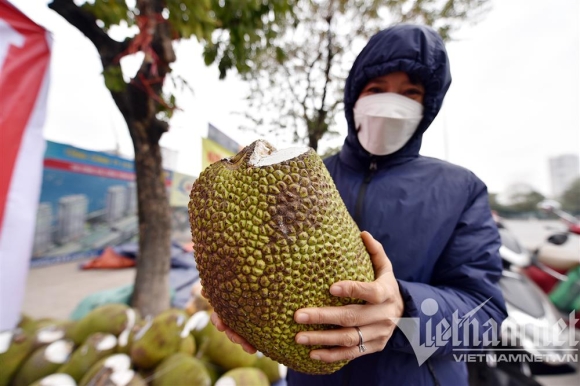 6 Mit Thai Tran Ve Ha Noi Gia Re E He Chat Dong Day Via He