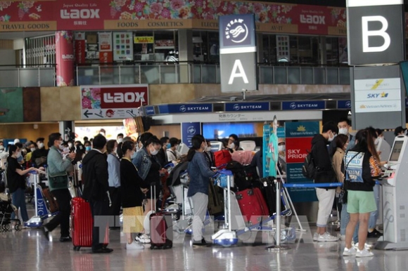 1 Mo Lai Duong Bay Thuong Mai Voi Nhat Kieu Bao Mung Vi Kip Ve Que An Tet