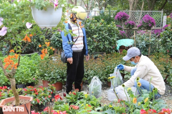 7 Hoa Tet Tran Ngap Cac Nha Vuon O Nghe An Nhung Vang Khach Mua Hang