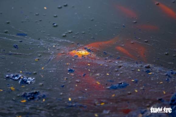 6 Chua Den Ngay Ong Tao Nhieu Nguoi Ha Noi Da Tha Ca Chep