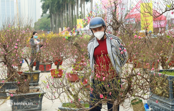 12 Ha Noi Tieu Thuong Giam Nua Gia Nhung Goc Dao Khung Ngay Can Tet Khach Van Ngo Lo