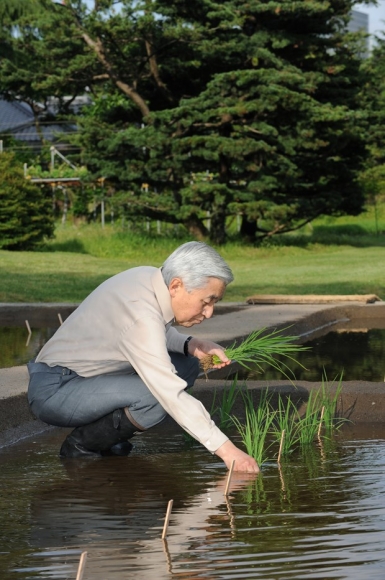 1 Nhung Hinh Anh Rat Dung Di Cua Nhat Hoang Akihito Va Hoang Hau