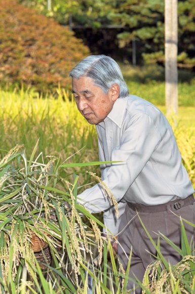 2 Nhung Hinh Anh Rat Dung Di Cua Nhat Hoang Akihito Va Hoang Hau