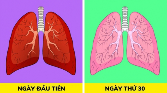 1 8 Cach Thai Doc Phoi Tu Nhien F0 Khoi Benh Cung Nen Ap Dung De Cai Thien Suc Khoe