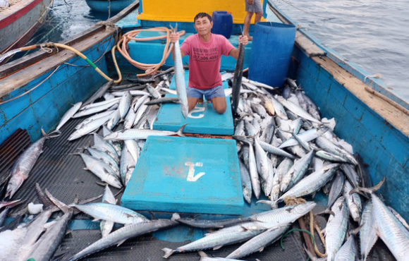 2 Bay Ca Dai Duong