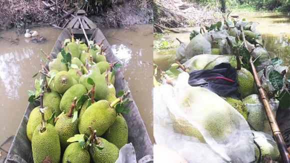 1 Ban 1 Kg Mit Thai Nguoi Dan Lo Bao Nhieu Tien